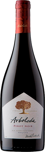 Pinot Noir Aconcagua Costa DO Vina Arboleda, 0.75 л в Перми